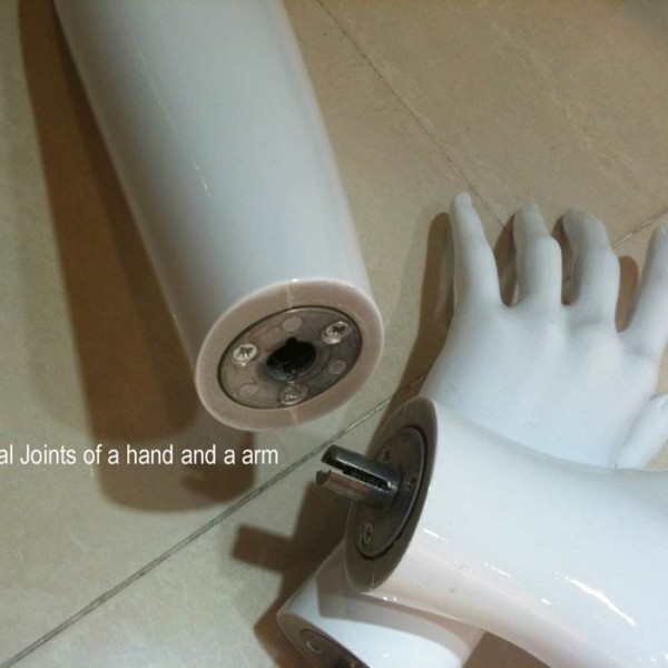 Accessories of plastic mannequins