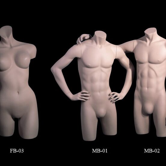 Torso mannequins