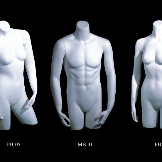 Torso mannequin series