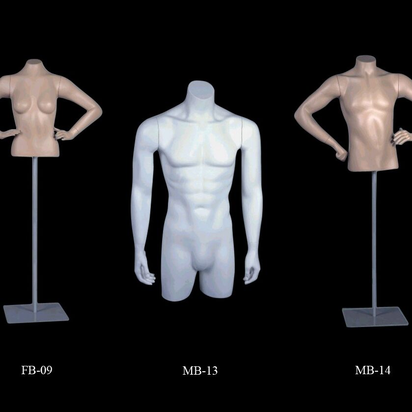Torsos series